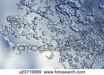 Stock Photograph - background, bernhard, 
blue, close, close-up, 
cold. fotosearch 
- search stock 
photos, pictures, 
images, and photo 
clipart