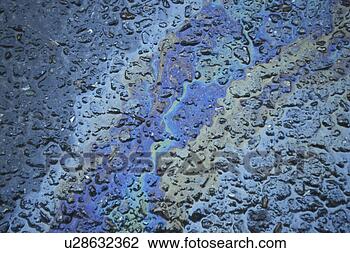 Stock Photo - background, bernhard, 
blue, close, close-up, 
cow. fotosearch 
- search stock 
photos, pictures, 
images, and photo 
clipart