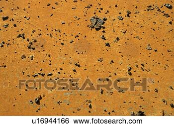 Stock Photo - background, bernhard, 
brown, close, 
close-up. fotosearch 
- search stock 
photos, pictures, 
images, and photo 
clipart
