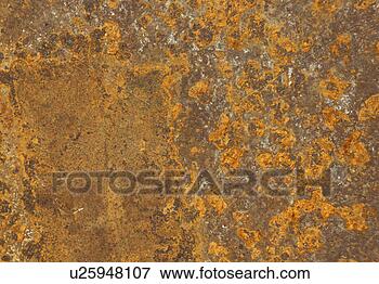 Picture - background, bernhard, 
brown, close, 
close-up, cow. 
fotosearch - search 
stock photos, 
pictures, images, 
and photo clipart