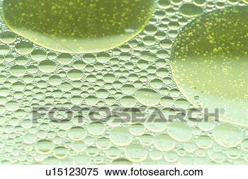 Stock Image - background, bernhard, 
circle, close, 
close-up, cow. 
fotosearch - search 
stock photos, 
pictures, images, 
and photo clipart
