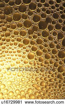 Stock Photography - background, bernhard, 
circle, close, 
close-up, cow. 
fotosearch - search 
stock photos, 
pictures, images, 
and photo clipart