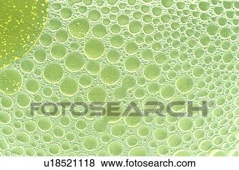 Stock Photo - background, bernhard, 
circle, close, 
close-up, cow. 
fotosearch - search 
stock photos, 
pictures, images, 
and photo clipart