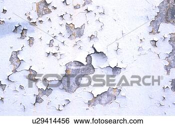 Stock Photo - background, bernhard, 
close, close-up. 
fotosearch - search 
stock photos, 
pictures, images, 
and photo clipart