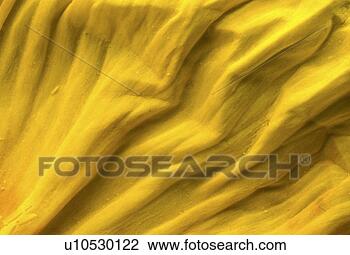 Stock Photo - falten, abloom, 
background, bernhard, 
bloom. fotosearch 
- search stock 
photos, pictures, 
images, and photo 
clipart