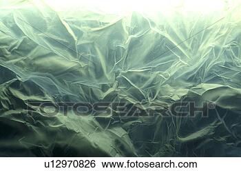 Stock Photo - falten, background, 
bernhard, close, 
close-up, cow. 
fotosearch - search 
stock photos, 
pictures, images, 
and photo clipart