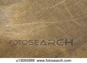 Stock Photograph - untergrund, background, 
beige, brown, 
cloth, cord, detail. 
fotosearch - search 
stock photos, 
pictures, images, 
and photo clipart