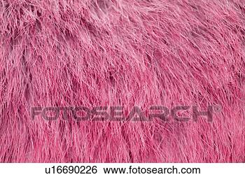 Stock Photo - untergrund, background, 
coat, conspicuous, 
cozy, dazzling, 
fluffy. fotosearch 
- search stock 
photos, pictures, 
images, and photo 
clipart