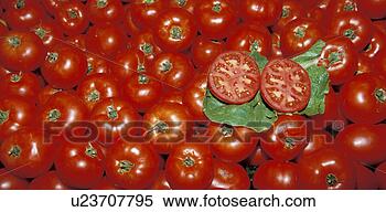 Stock Image - background, close, 
close-up, drink, 
eat, eating, food. 
fotosearch - search 
stock photos, 
pictures, images, 
and photo clipart