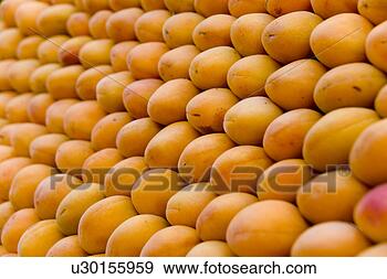 Stock Photograph - backgrounds, aliment, 
background, apricots, 
apricot, alfred. 
fotosearch - search 
stock photos, 
pictures, images, 
and photo clipart