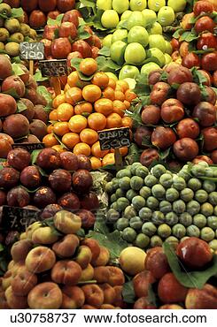 Picture - bernhard, buy, 
buying, citrus. 
fotosearch - search 
stock photos, 
pictures, images, 
and photo clipart