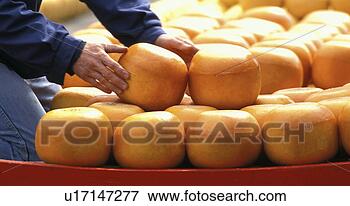Picture - edam, calf, cheese 
stacker, cheese 
loaf, cheese, 
farmer, alkmaar. 
fotosearch - search 
stock photos, 
pictures, images, 
and photo clipart