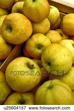 Picture - food, close, eat, 
drink, close-up, 
apple. fotosearch 
- search stock 
photos, pictures, 
images, and photo 
clipart