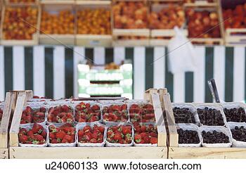 Stock Photo - fru, berries, 
dornbirn, calf, 
blueberries, fruit, 
austria. fotosearch 
- search stock 
photos, pictures, 
images, and photo 
clipart