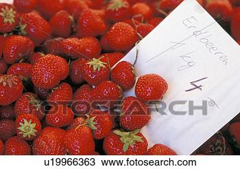 Stock Photo - fruity, calf, 
fruit, fresh, 
expensive, juicy, 
austria. fotosearch 
- search stock 
photos, pictures, 
images, and photo 
clipart
