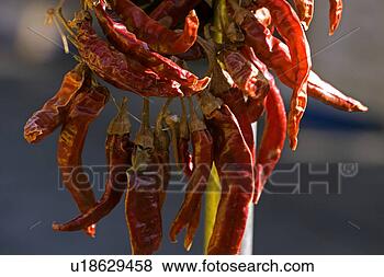 Stock Photo - mannheim, diemer, 
getrocknete, germany, 
food, pleasure, 
aliment. fotosearch 
- search stock 
photos, pictures, 
images, and photo 
clipart