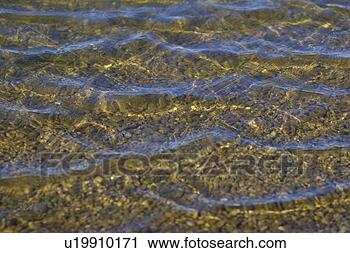 Stock Photography - tide, aquatic, 
ocean, sea, lake, 
loch, lough. fotosearch 
- search stock 
photos, pictures, 
images, and photo 
clipart