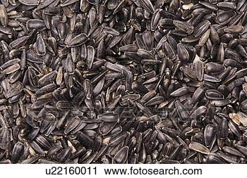 Stock Photography - backgrounds,  
agroindustry, 
 background,  
alternative cultivation. 
fotosearch - search 
stock photos, 
pictures, images, 
and photo clipart