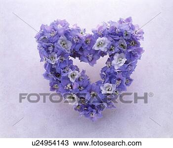 Stock Photo - view of a heart-shaped 
garland. fotosearch 
- search stock 
photos, pictures, 
images, and photo 
clipart