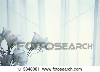 Stock Photography - russell prairie 
gentian. fotosearch 
- search stock 
photos, pictures, 
images, and photo 
clipart