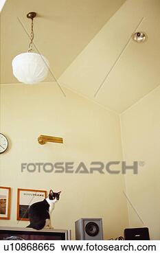 Stock Image - black and white 
cat in living 
room. fotosearch 
- search stock 
photos, pictures, 
images, and photo 
clipart