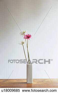 Stock Image - flower in vase. 
fotosearch - search 
stock photos, 
pictures, images, 
and photo clipart