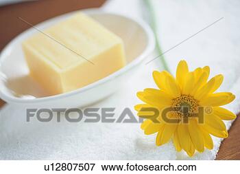 Picture - gerbera and soap. 
fotosearch - search 
stock photos, 
pictures, images, 
and photo clipart