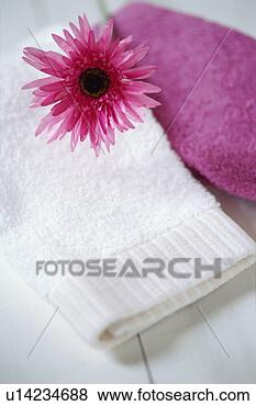 Stock Photo - gerbera and towels. 
fotosearch - search 
stock photos, 
pictures, images, 
and photo clipart