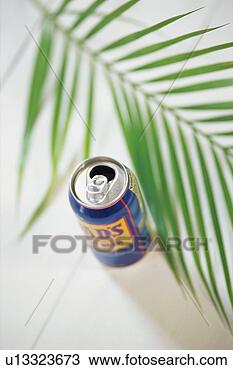 Stock Photo - palm leaf and 
can. fotosearch 
- search stock 
photos, pictures, 
images, and photo 
clipart