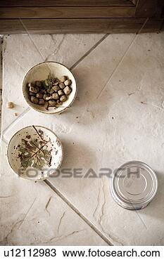 Stock Photo - detail of cat 
food dishes and 
a can of cat food. 
fotosearch - search 
stock photos, 
pictures, images, 
and photo clipart
