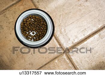 Picture - high perspective 
of dog food bowl. 
fotosearch - search 
stock photos, 
pictures, images, 
and photo clipart