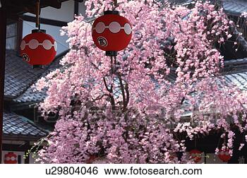 Stock Photo - gion, kyoto prefecture, 
japan. fotosearch 
- search stock 
photos, pictures, 
images, and photo 
clipart