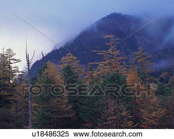 Stock Image - kamikochi, nagano 
prefecture, japan. 
fotosearch - search 
stock photos, 
pictures, images, 
and photo clipart