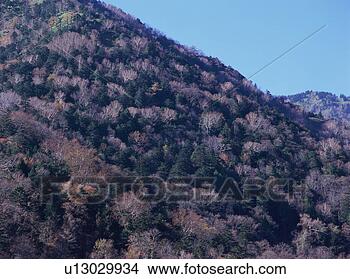 Stock Photo - mountain in tochigi 
prefecture, japan. 
fotosearch - search 
stock photos, 
pictures, images, 
and photo clipart