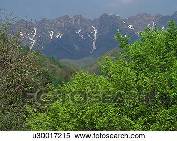 Stock Image - mountains in nagano 
prefecture, japan. 
fotosearch - search 
stock photos, 
pictures, images, 
and photo clipart