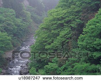Picture - river among mountains. 
fotosearch - search 
stock photos, 
pictures, images, 
and photo clipart
