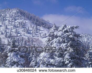 Stock Photo - snow covered mountain. 
fotosearch - search 
stock photos, 
pictures, images, 
and photo clipart