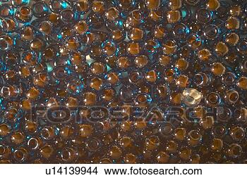 Stock Photo - fine arts, beads 
art, objects of 
craftwork, craftwork, 
accessory. fotosearch 
- search stock 
photos, pictures, 
images, and photo 
clipart