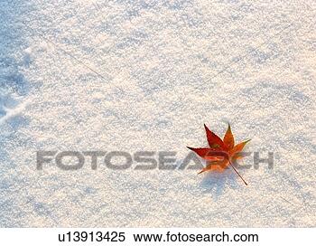 Stock Image - leaves, background, 
snow, scenery, 
nature, film. 
fotosearch - search 
stock photos, 
pictures, images, 
and photo clipart