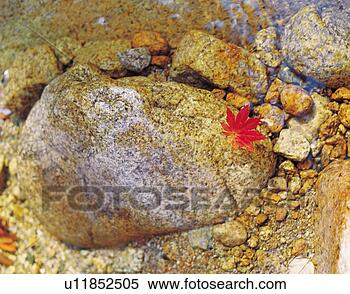 Stock Image - scene, water, 
scenery, landscape, 
stone, view, leaf. 
fotosearch - search 
stock photos, 
pictures, images, 
and photo clipart