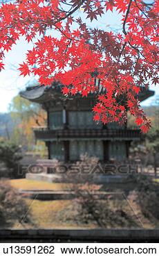 Stock Photo - view, park, scene, 
landscape, leaf, 
scenery. fotosearch 
- search stock 
photos, pictures, 
images, and photo 
clipart