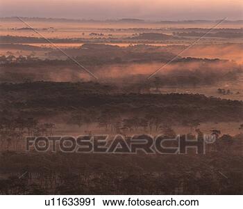 Stock Photography - dusk, scenery, 
fog, mountain, 
landscape, background, 
nature. fotosearch 
- search stock 
photos, pictures, 
images, and photo 
clipart