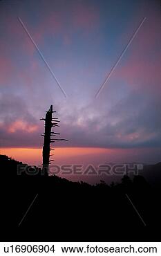 Stock Photo - landscape, cloud, 
scenery, tree, 
sky, sunrise, 
sunset. fotosearch 
- search stock 
photos, pictures, 
images, and photo 
clipart