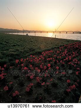 Stock Photography - river, scenery, 
cloud, sky, landscape, 
sunrise, nature. 
fotosearch - search 
stock photos, 
pictures, images, 
and photo clipart