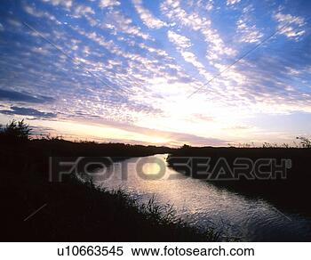 Stock Image - tree, nature, 
stream, river, 
scene, grass, 
landscape. fotosearch 
- search stock 
photos, pictures, 
images, and photo 
clipart