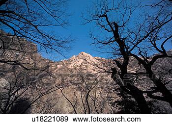 Stock Photograph - branch, scenery, 
winter, season, 
mountain, landscape, 
nature. fotosearch 
- search stock 
photos, pictures, 
images, and photo 
clipart