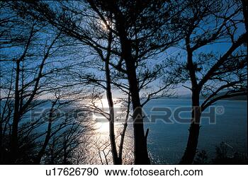 Stock Photography - landscape, river, 
scenery, tree, 
lake, sea. fotosearch 
- search stock 
photos, pictures, 
images, and photo 
clipart