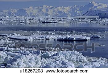 Stock Photo - open pack ice 
and admiralty 
mountains range 
in background 
adare. fotosearch 
- search stock 
photos, pictures, 
images, and photo 
clipart