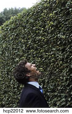 Stock Photo - businessman shouting 
over hedge. fotosearch 
- search stock 
photos, pictures, 
images, and photo 
clipart