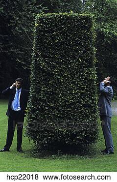 Stock Photo - businessmen on 
opposite sides 
of hedge talking 
on cell phones. 
fotosearch - search 
stock photos, 
pictures, images, 
and photo clipart